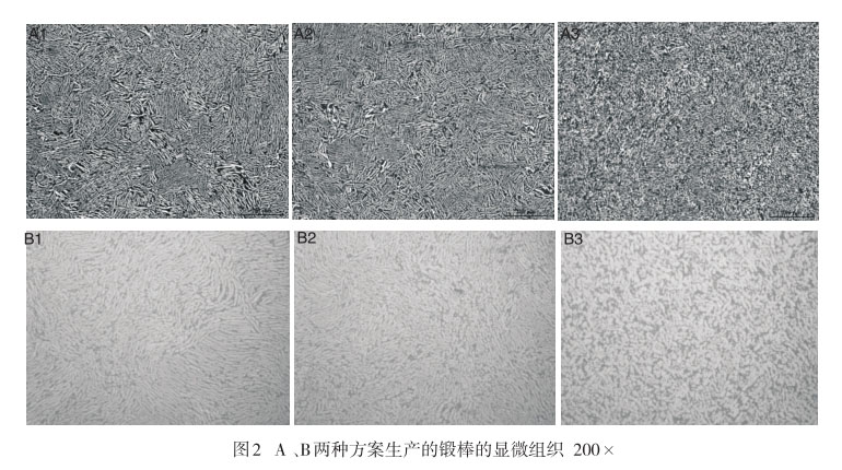 A 、B兩種方案生產(chǎn)的鍛棒的顯微組織
